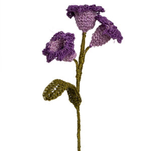 Campanolas Lila Y Morado