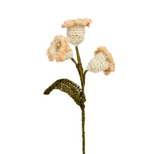 Campanolas Naranja A Y Blanco