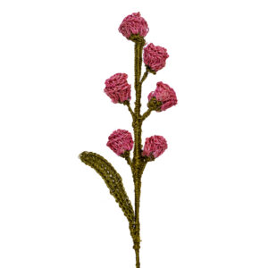 Capullos De Flor Rosado