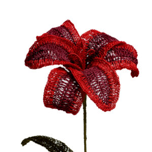 Lirios Rojo Y Vinotinto