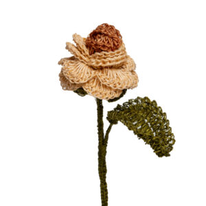 Rosas Duranzo Con Curuba