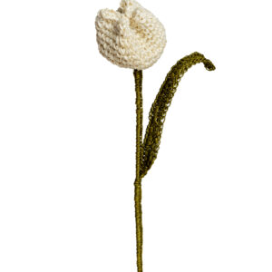 Flor De Tulipan Blanco