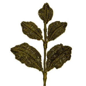 Follaje Hojas Grandes Claras