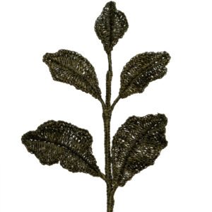 Follaje Hojas Grandes Oscuras