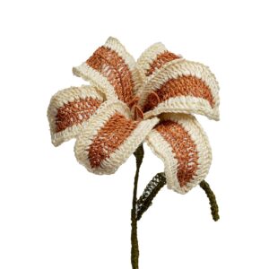 Lirios Blanco y Curuba