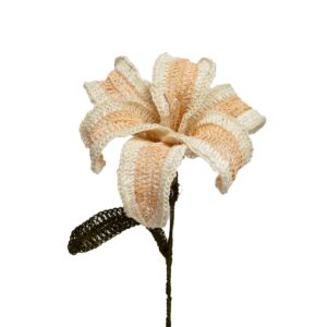 Lirios Blanco y Naranja B Claro