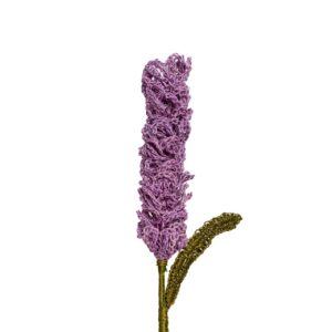 Lavanda O Millo Lila