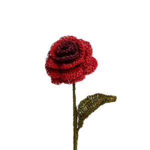 Rosas Rojo Y Vinotinto