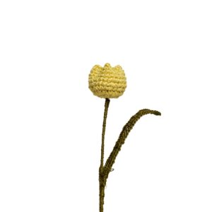 Flor De Tulipan Amarillo Pastel