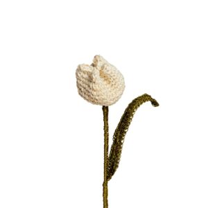 Flor De Tulipan Blanco