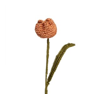 Flor De Tulipan Curuba