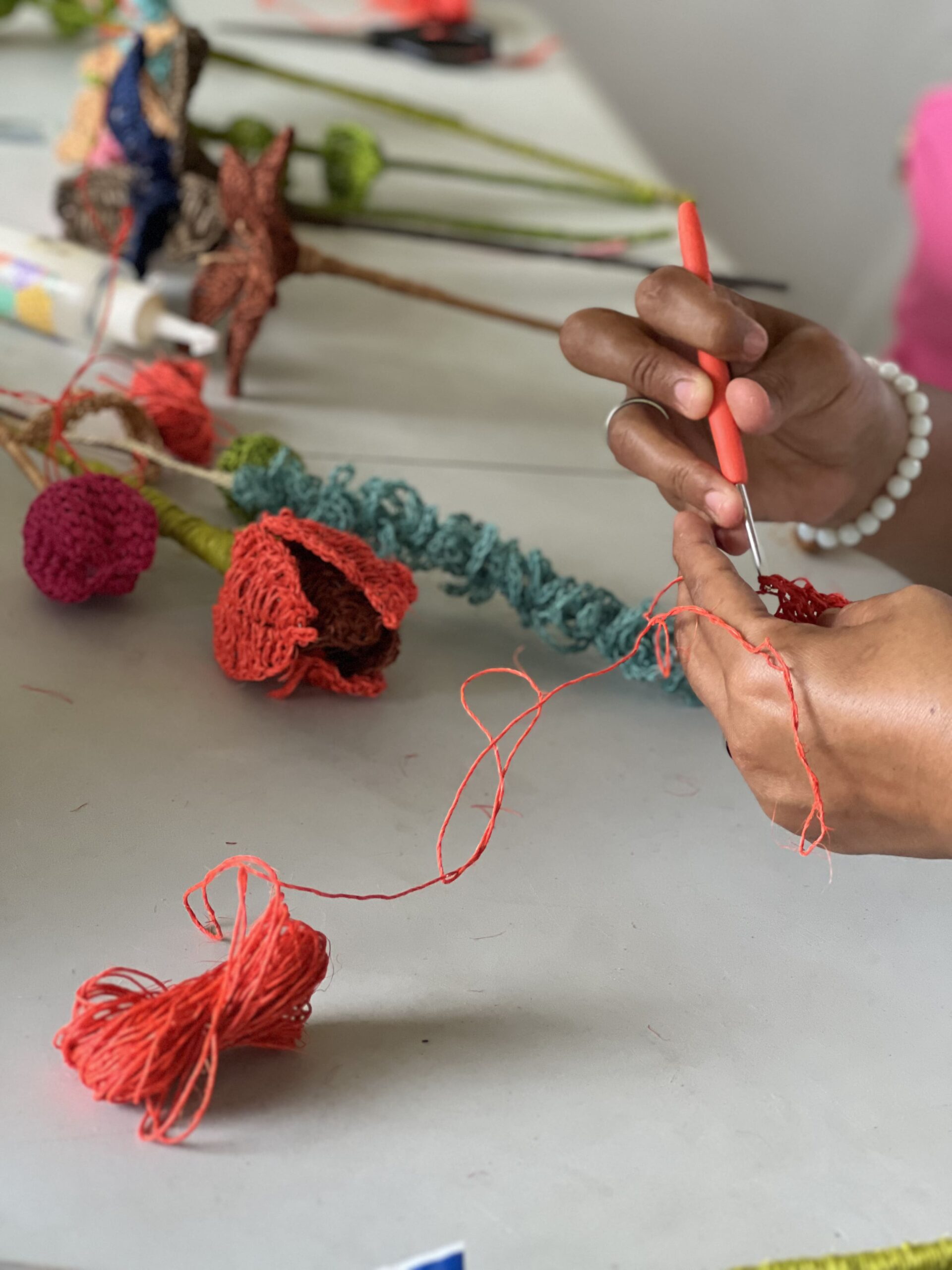 Ciclos formativos en Aguas vivas, Fundación Agroforestal