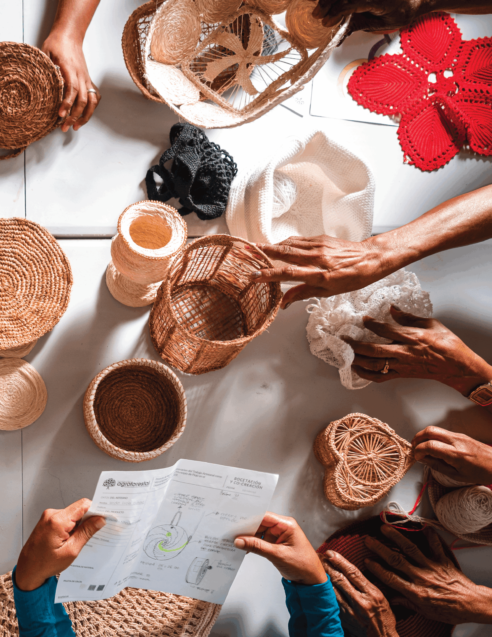 Ciclos formativos en Aguas vivas, Fundación Agroforestal