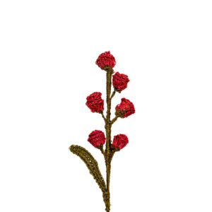 Capullos De Flor Roja