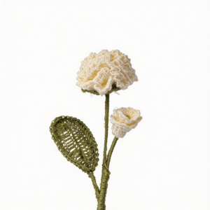 Claveles Blancos