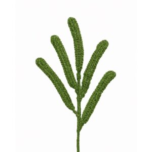 Follaje Hojas Alargada Verde Limon