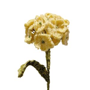 Hortensia Amarillo pastel