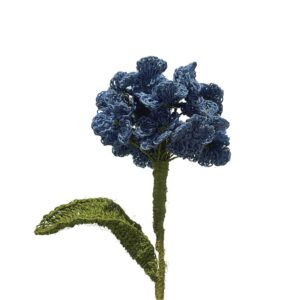 Hortensia Celeste