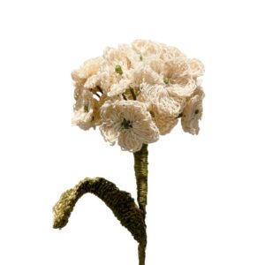 Hortensia Blanca