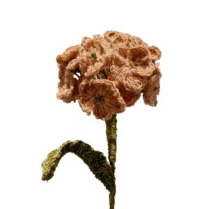 Hortensia Guayaba