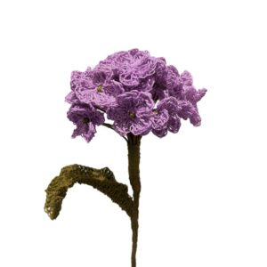 Hortensia Lila