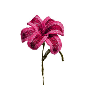 Lirio Fucsia y Rojo B