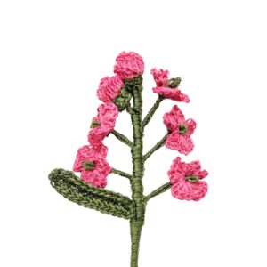 No me olvides Rosado