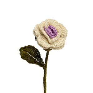 Rosas Blanca Con Lila