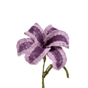 Lirio_Morado_Lila