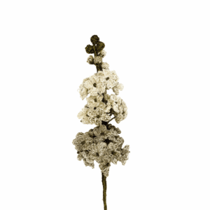 Lluvia de oro_blanca